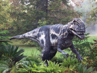 Динозавры вымерли из-за слабых ног